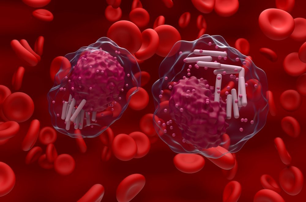 Top Hematologist in Ahmedabad