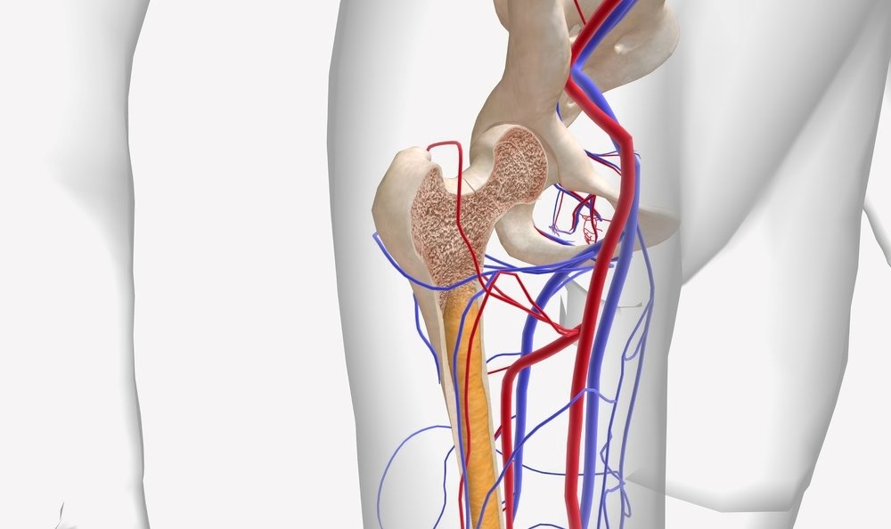 Best Haemato Oncologist Specialist in Ahmedabad